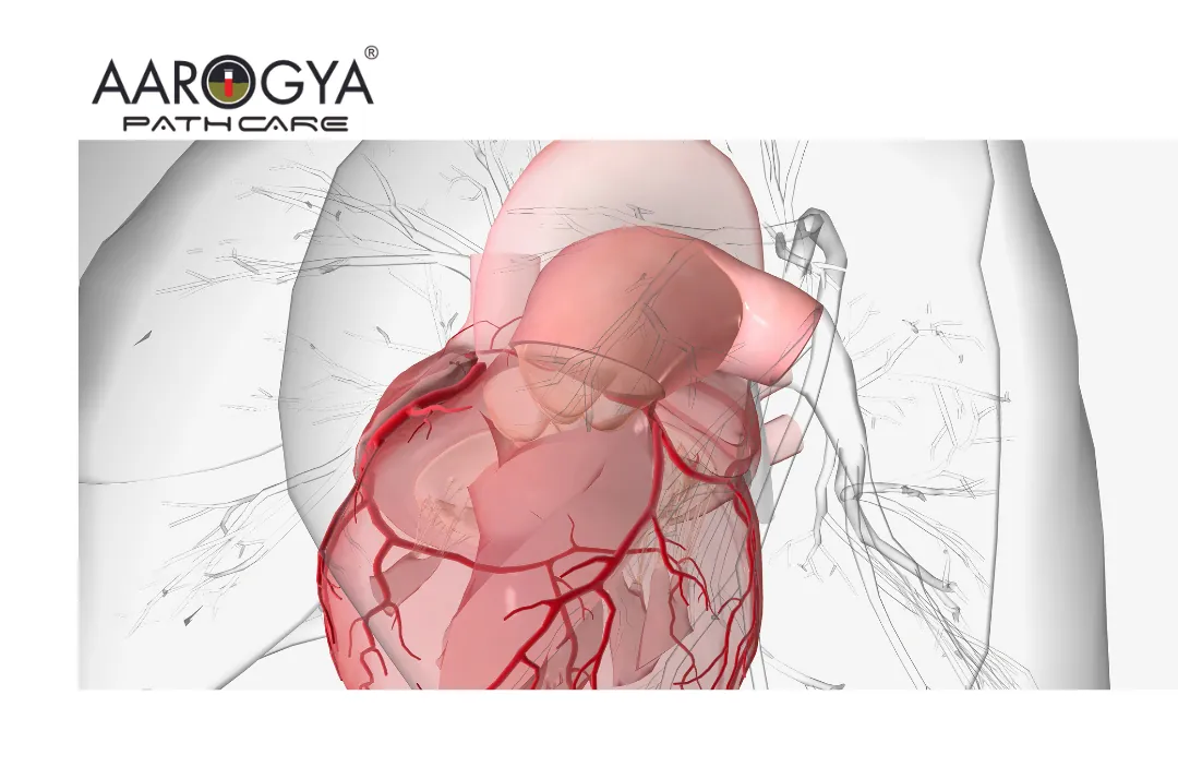 ECG in Delhi-NCR at Aarogya Pathcare: Your Go-To Destination for Heart Health