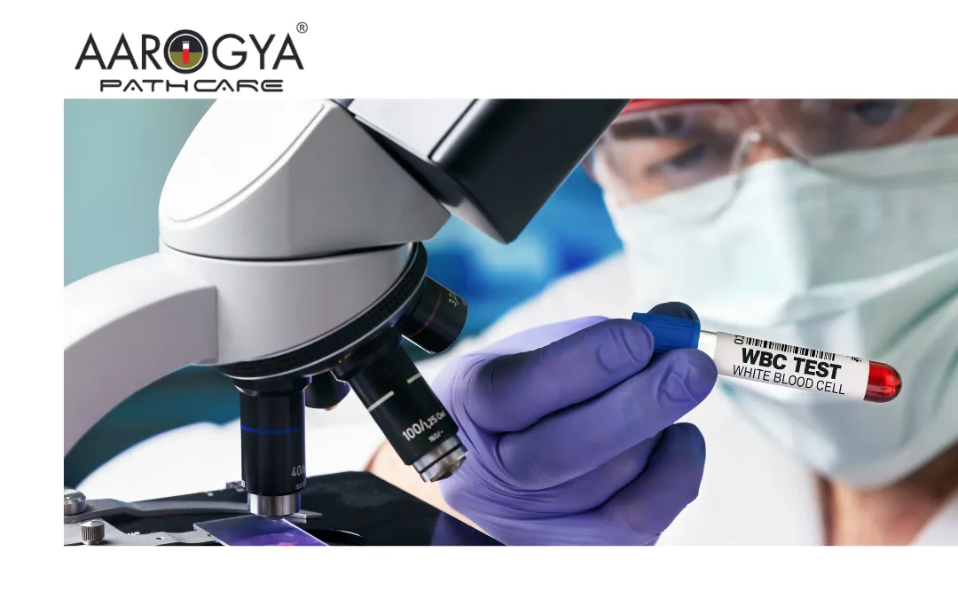 Best Full Body Test in Delhi-NCR at Aarogya Pathcare